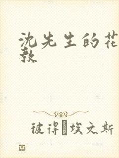 沈先生的花式管教