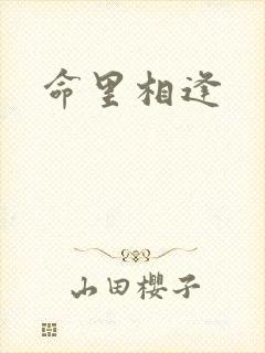 命里相逢