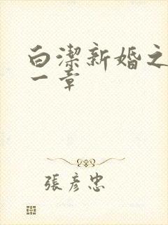 白洁新婚之夜第一章