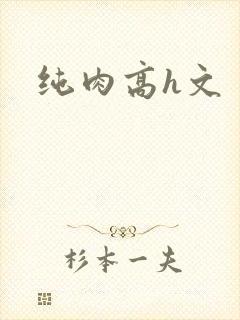 纯肉高h文