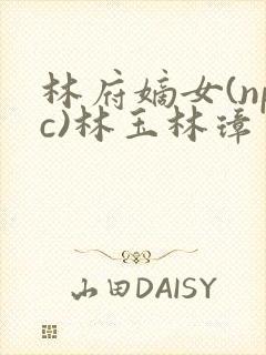 林府嫡女(npc)林玉林璋