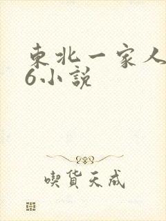 东北一家人1一6小说