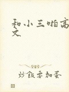 和小三啪高辣h文