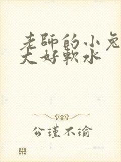 老师的小兔子好大好软水