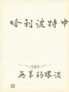 哈利波特中文版