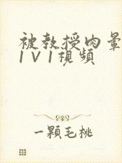 被教授肉晕了H1∨1视频
