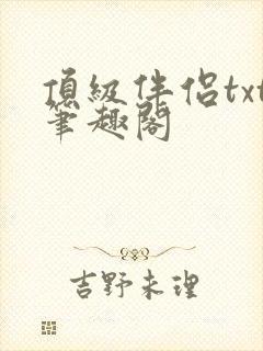 顶级伴侣txt笔趣阁