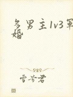 多男主1v3军婚