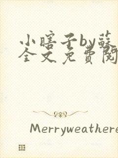 小瞎子by苏软全文免费阅读