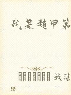 我是赵甲第小说