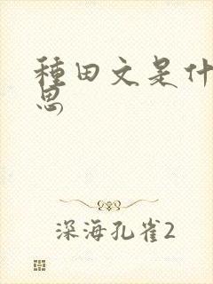 种田文是什么意思