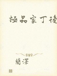 极品家丁后传封面