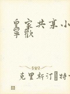 皇家共享小公主宁欢