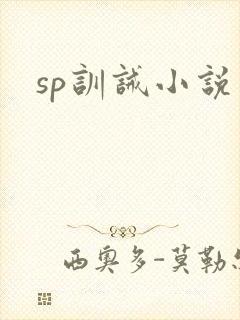 sp训诫小说