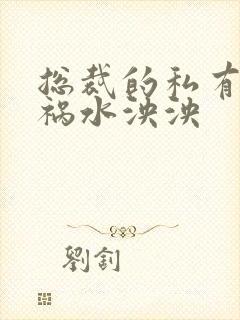 总裁的私有宝贝祸水泱泱