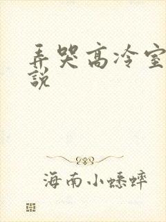 弄哭高冷室友小说