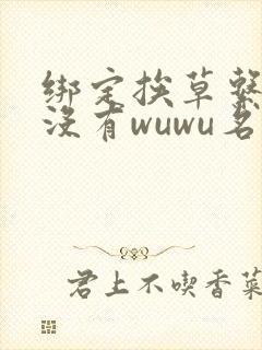 绑定挨草系统后没有wuwu名字