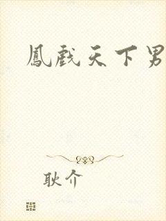 凤戏天下男封面