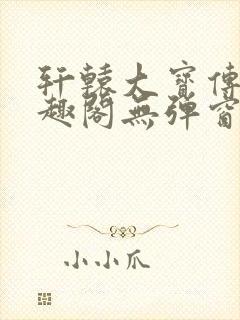 轩辕大宝传奇笔趣阁无弹窗