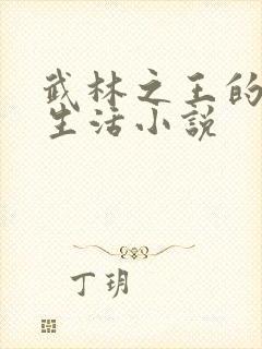 武林之王的退隐生活小说