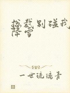 总裁别碰我 韩降雪