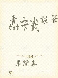 青山小说笔趣阁txt下载