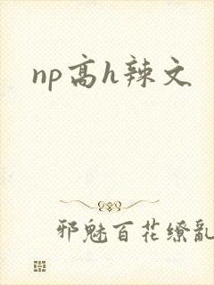 np高h辣文