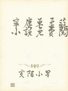 宁尘单柔苏千雪小说免费阅读最新