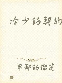 冷少的契约囚奴