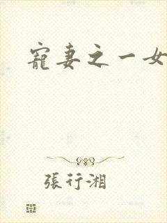 宠妻之一女二夫