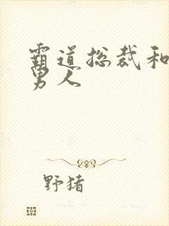 霸道总裁和他的男人