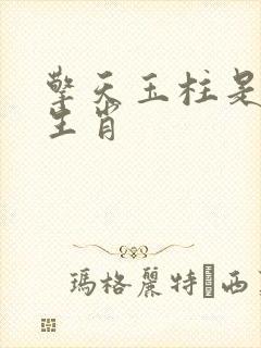 擎天玉柱是什么生肖