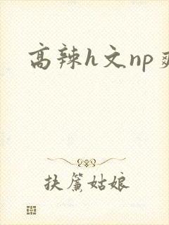 高辣h文np爽
