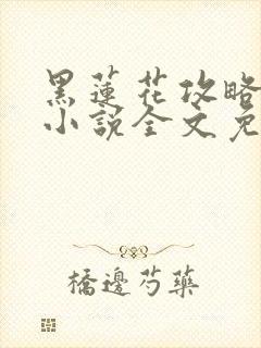 黑莲花攻略手册小说全文免费阅读笔趣阁封面