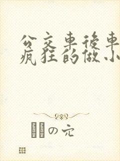 公交车后车座的疯狂的做小