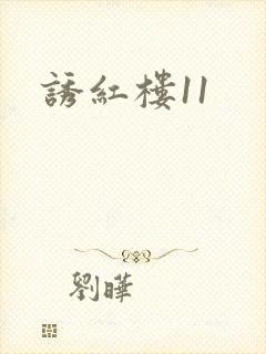 诱红楼11