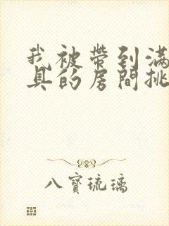 我被带到满是玩具的房间挑调游戏