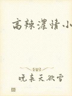 高辣浓情小说