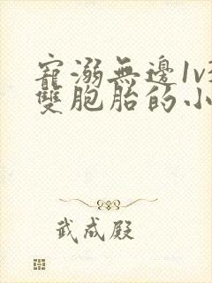 宠溺无边1v3双胞胎的小说