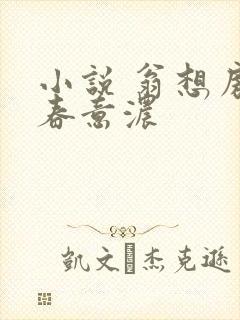 小说 翁想房中春意浓