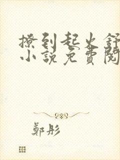 撩到起火舒漾的小说免费阅读全文