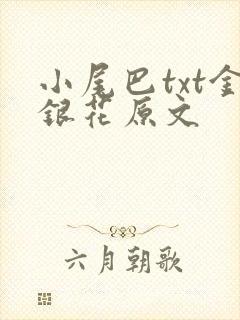 小尾巴txt金银花原文封面