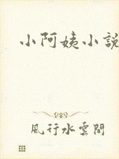 小阿姨小说