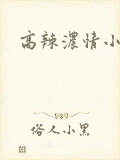 高辣浓情小说