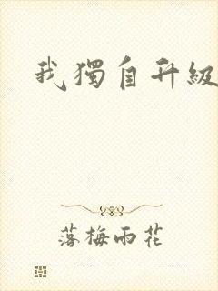 我独自升级小说