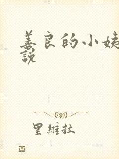 善良的小姨子小说