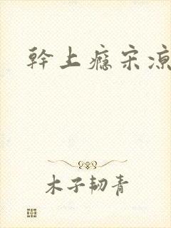 干上瘾宋凉向周封面