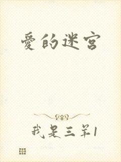 爱的迷宫