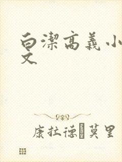 白洁高义小说全文