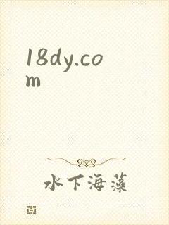 18dy.com